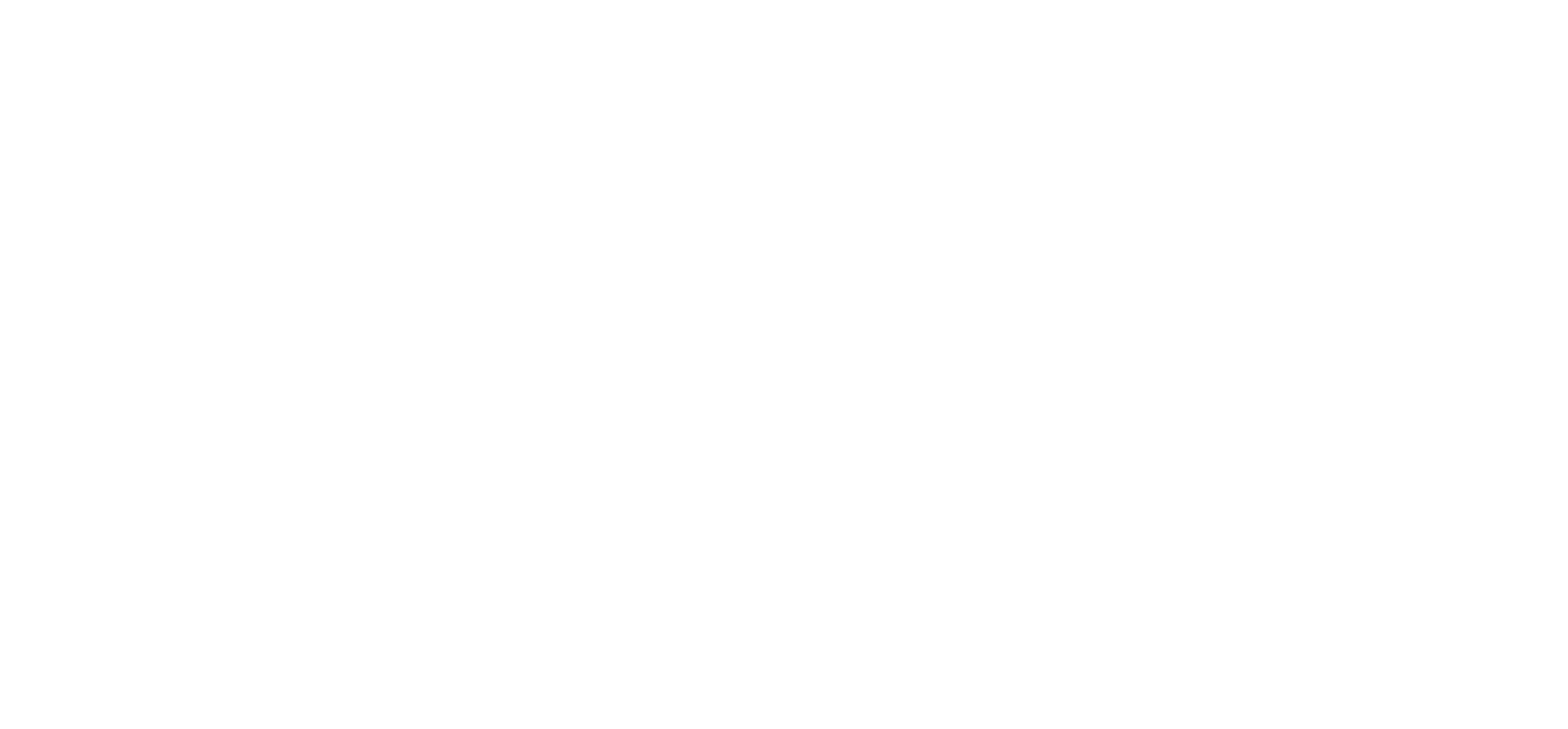 Rovaniemen Verkko Oy logo valkoisena